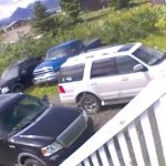 Thursday Fasting Guide: Sattvic Foods, Recipes, and Why to Avoid Non-Veg and Alcohol for Guruvar Vrat