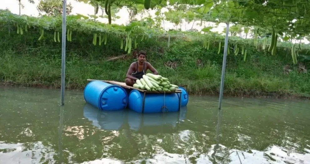 Odisha Farmer’s Smart Pond Farming Goes Viral