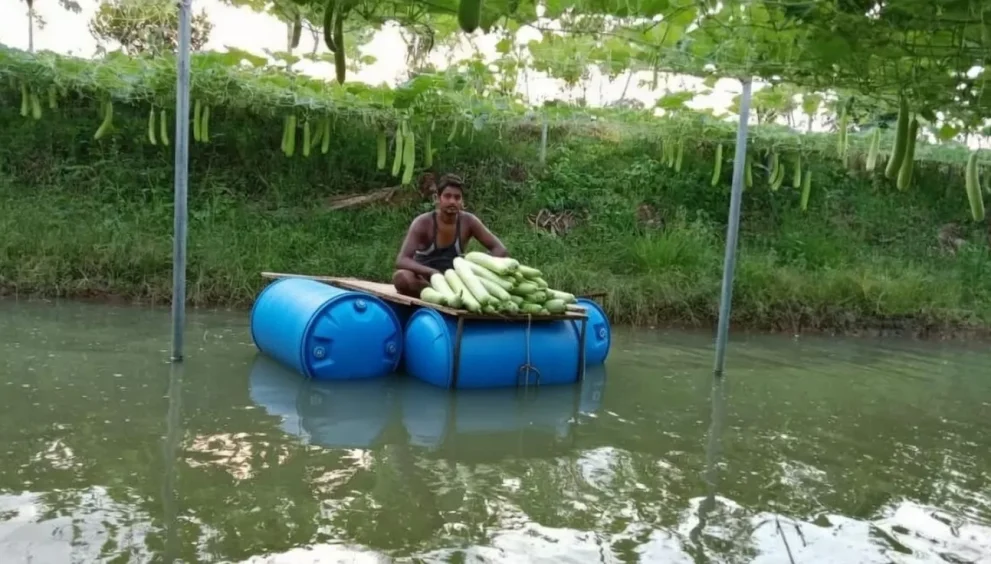Odisha Farmer’s Smart Pond Farming Goes Viral